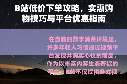 B站低价下单攻略，实惠购物技巧与平台优惠指南