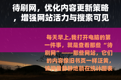 待刷网，优化内容更新策略，增强网站活力与搜索可见性