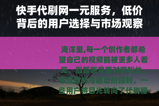快手代刷网一元服务，低价背后的用户选择与市场观察
