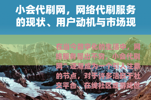 小会代刷网，网络代刷服务的现状、用户动机与市场现象解析