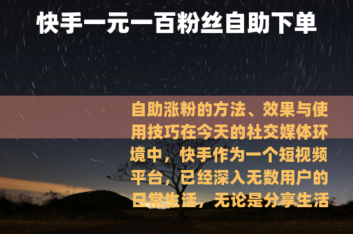 快手一元一百粉丝自助下单
