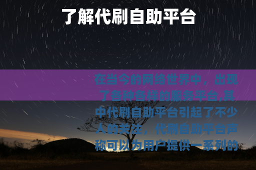了解代刷自助平台