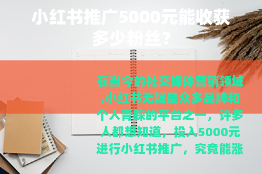 小红书推广5000元能收获多少粉丝？