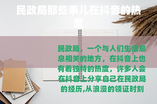 民政局那些事儿在抖音的热度