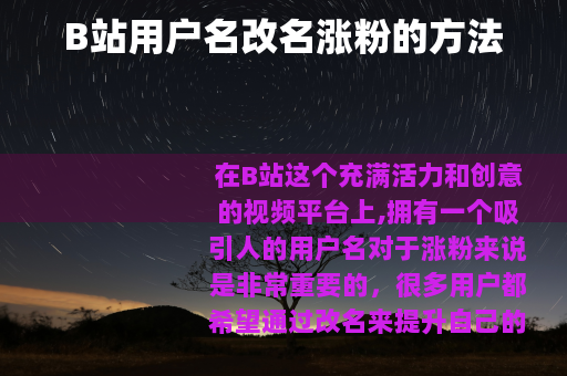 B站用户名改名涨粉的方法