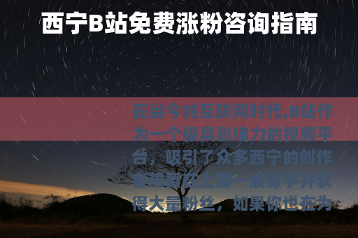 西宁B站免费涨粉咨询指南