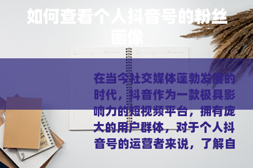 如何查看个人抖音号的粉丝画像