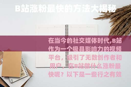 B站涨粉最快的方法大揭秘