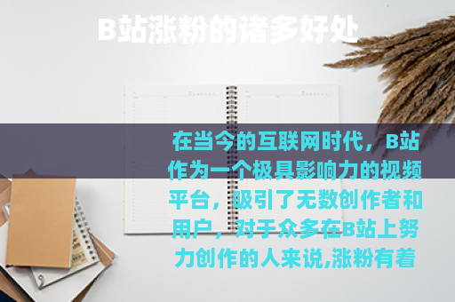 B站涨粉的诸多好处