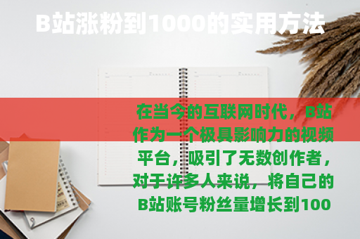 B站涨粉到1000的实用方法