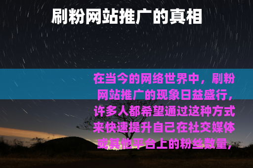刷粉网站推广的真相