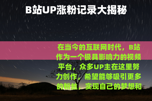 B站UP涨粉记录大揭秘