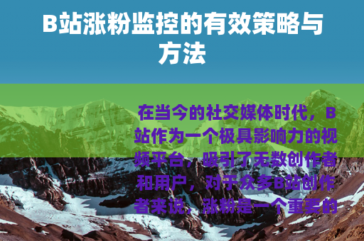 B站涨粉监控的有效策略与方法